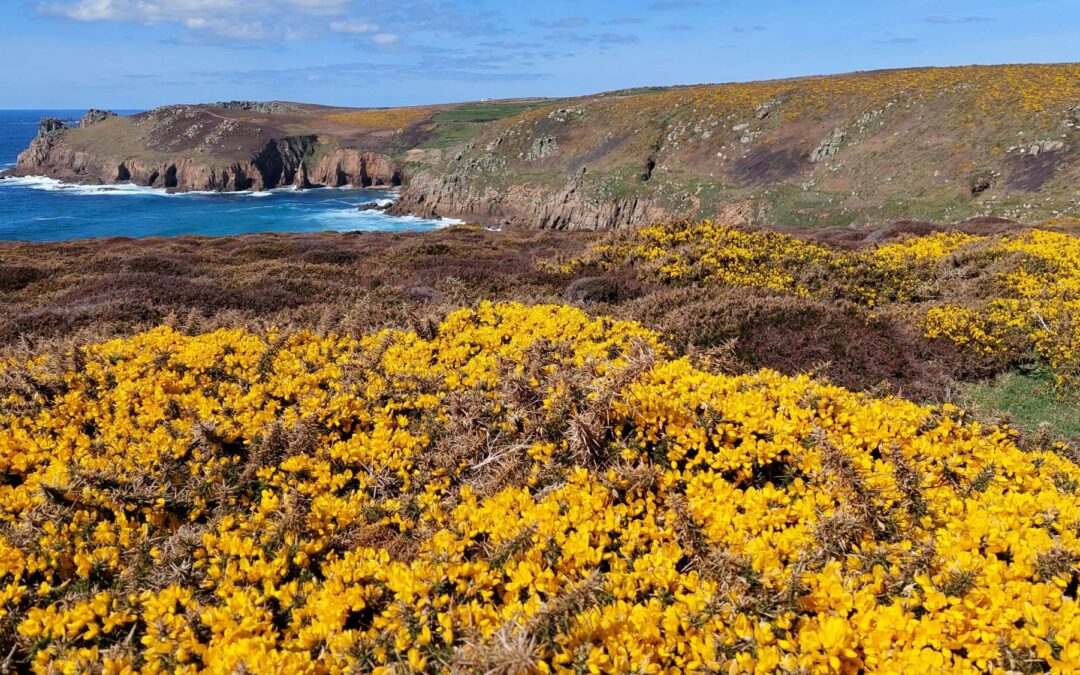 Il cammino da Land’s End a Porthcurno